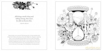 Floriographic: Secret Garden: An Artist's Coloring Book of the Hidden Language of Flowers - Vasilisa Romanenko [KSIĄŻKA]