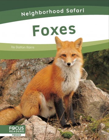 Foxes (Neighborhood Safari Set 2) - Dalton Rains [KSIĄŻKA]