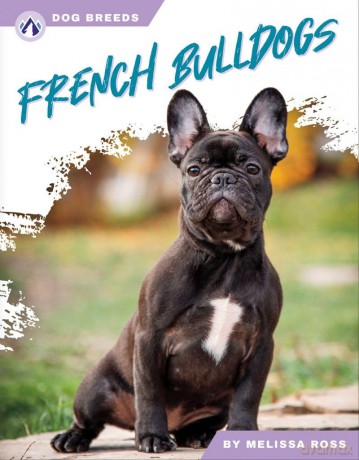 French Bulldogs (Dog Breeds Series) - Ross [KSIĄŻKA]