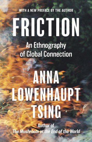 Friction: An Ethnography of Global Connection - Anna Lowenhaupt Tsing [KSIĄŻKA]