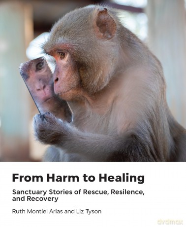 From Harm to Healing: Sanctuary Stories of Rescue, Resilience, and Recovery - Ruth Montiel Arias [KSIĄŻKA]