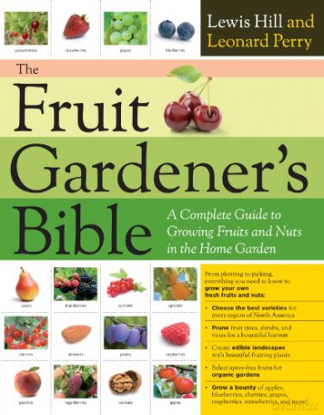 Fruit Gardener's Bible, The: A Complete Guide to Growing Fruits and Nuts in the Home Garden - Lewis Hill [KSIĄŻKA]