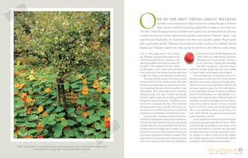 Fruit Gardener's Bible, The: A Complete Guide to Growing Fruits and Nuts in the Home Garden - Lewis Hill [KSIĄŻKA]