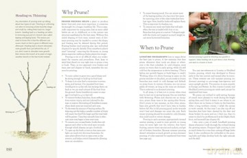 Fruit Gardener's Bible, The: A Complete Guide to Growing Fruits and Nuts in the Home Garden - Lewis Hill [KSIĄŻKA]