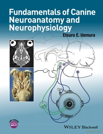 Fundamentals of Canine Neuroanatomy and Neurophysiology - Etsuro E. Uemura [KSIĄŻKA]