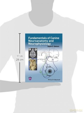 Fundamentals of Canine Neuroanatomy and Neurophysiology - Etsuro E. Uemura [KSIĄŻKA]