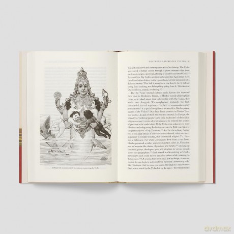 Gods, Guns and Missionaries: The Making of the Modern Hindu Identity - Manu S Pillai [KSIĄŻKA]