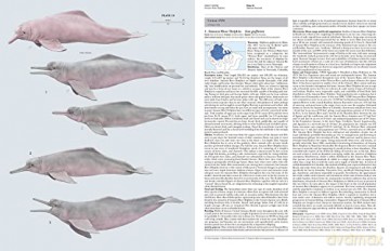Handbook of the Mammals of the World vol. 4 - Don E Wilson [KSIĄŻKA]