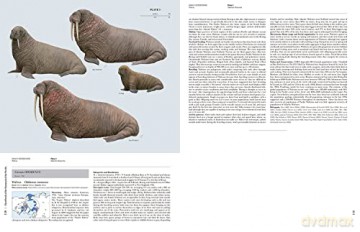 Handbook of the Mammals of the World vol. 4 - Don E Wilson [KSIĄŻKA]