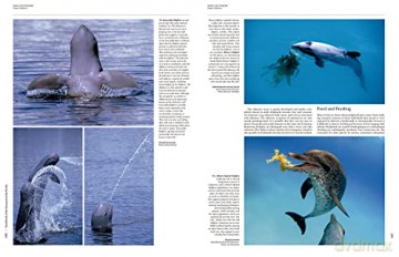 Handbook of the Mammals of the World vol. 4 - Don E Wilson [KSIĄŻKA]