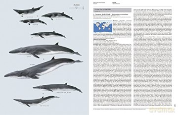 Handbook of the Mammals of the World vol. 4 - Don E Wilson [KSIĄŻKA]