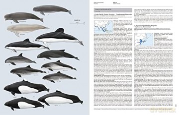 Handbook of the Mammals of the World vol. 4 - Don E Wilson [KSIĄŻKA]