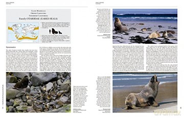 Handbook of the Mammals of the World vol. 4 - Don E Wilson [KSIĄŻKA]