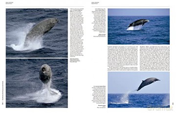 Handbook of the Mammals of the World vol. 4 - Don E Wilson [KSIĄŻKA]