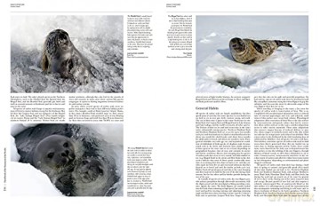 Handbook of the Mammals of the World vol. 4 - Don E Wilson [KSIĄŻKA]