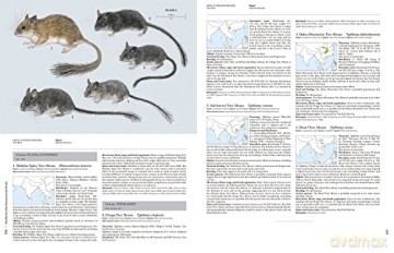 Handbook of the Mammals of the World. Rodents II: 7 - Don E. Wilson [KSIĄŻKA]