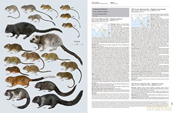 Handbook of the Mammals of the World. Rodents II: 7 - Don E. Wilson [KSIĄŻKA]