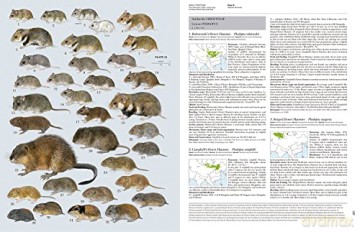Handbook of the Mammals of the World. Rodents II: 7 - Don E. Wilson [KSIĄŻKA]