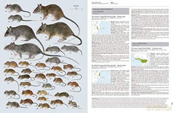Handbook of the Mammals of the World. Rodents II: 7 - Don E. Wilson [KSIĄŻKA]
