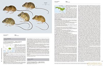 Handbook of the Mammals of the World. Rodents II: 7 - Don E. Wilson [KSIĄŻKA]