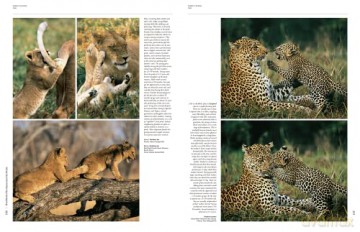 Handbook of the Mammals of the World. Vol.1 (Handbook of Mammals of the World) - Don E Wilson [KSIĄŻKA]