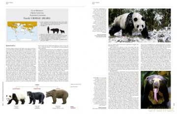Handbook of the Mammals of the World. Vol.1 (Handbook of Mammals of the World) - Don E Wilson [KSIĄŻKA]