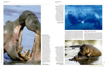 Handbook of the Mammals of the World. Vol.2: v. 2 - Don E Wilson [KSIĄŻKA]