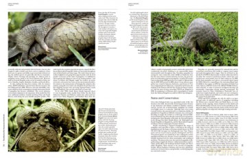 Handbook of the Mammals of the World. Vol.2: v. 2 - Don E Wilson [KSIĄŻKA]