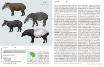 Handbook of the Mammals of the World. Vol.2: v. 2 - Don E Wilson [KSIĄŻKA]