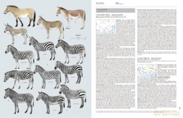 Handbook of the Mammals of the World. Vol.2: v. 2 - Don E Wilson [KSIĄŻKA]