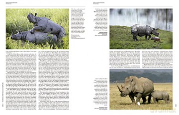 Handbook of the Mammals of the World. Vol.2: v. 2 - Don E Wilson [KSIĄŻKA]
