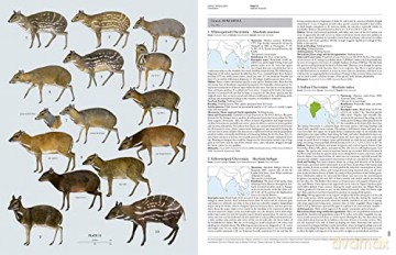 Handbook of the Mammals of the World. Vol.2: v. 2 - Don E Wilson [KSIĄŻKA]