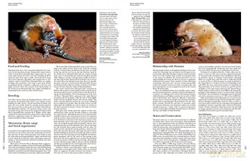 Handbook of the Mammals of the World. Vol.5: Volume 5 - Don E Wilson [KSIĄŻKA]