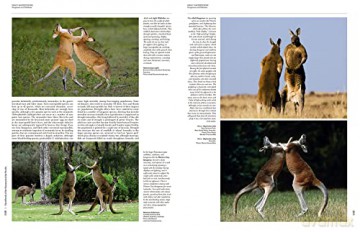 Handbook of the Mammals of the World. Vol.5: Volume 5 - Don E Wilson [KSIĄŻKA]