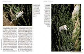 Handbook of the Mammals of the World. Vol.5: Volume 5 - Don E Wilson [KSIĄŻKA]