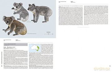 Handbook of the Mammals of the World. Vol.5: Volume 5 - Don E Wilson [KSIĄŻKA]
