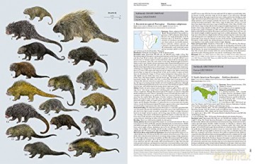 Handbook of the Mammals of the World. Vol.6 - Don E Wilson [KSIĄŻKA]