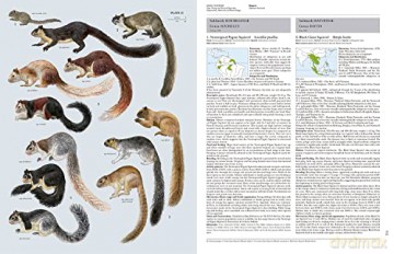 Handbook of the Mammals of the World. Vol.6 - Don E Wilson [KSIĄŻKA]