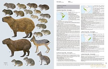 Handbook of the Mammals of the World. Vol.6 - Don E Wilson [KSIĄŻKA]