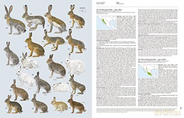 Handbook of the Mammals of the World. Vol.6 - Don E Wilson [KSIĄŻKA]
