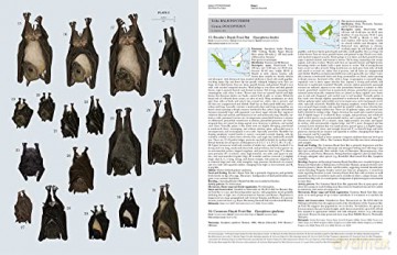 Handbook of the Mammals of the World. Vol.9: Bats (Handbook of Mammals of the World) - Don E Wilson [KSIĄŻKA]
