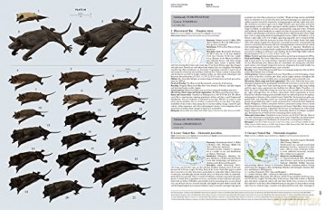 Handbook of the Mammals of the World. Vol.9: Bats (Handbook of Mammals of the World) - Don E Wilson [KSIĄŻKA]
