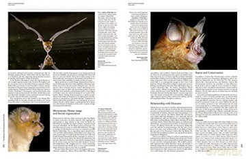 Handbook of the Mammals of the World. Vol.9: Bats (Handbook of Mammals of the World) - Don E Wilson [KSIĄŻKA]