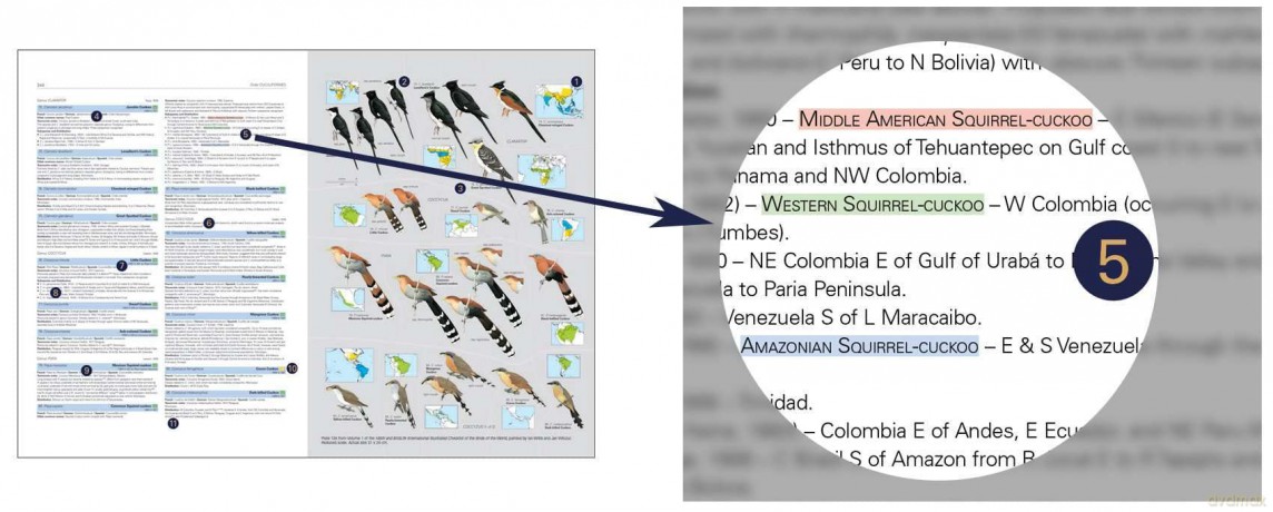 HBW and BirdLife International Illustrated Checklist of the Birds of the World vol.1 - Josep del Hoyo Calduch [KSIĄŻKA]