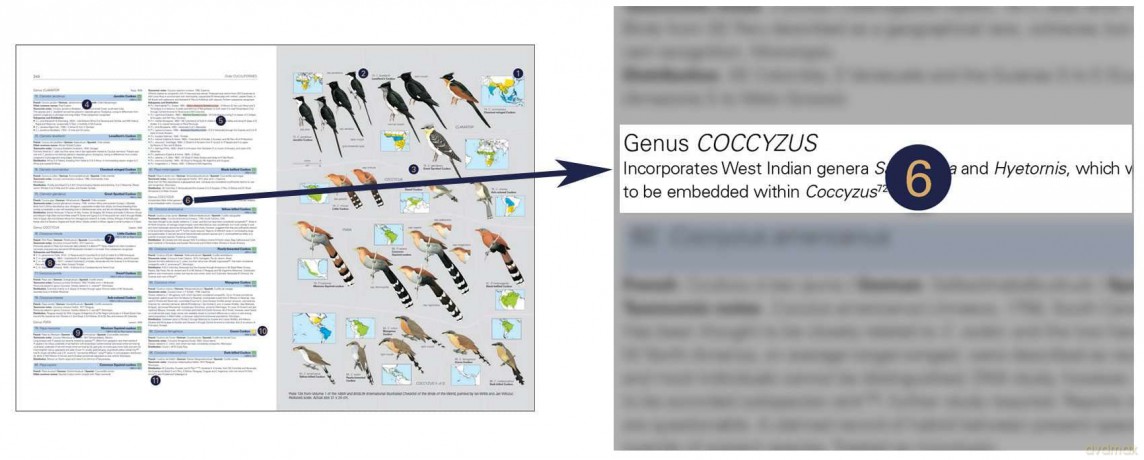 HBW and BirdLife International Illustrated Checklist of the Birds of the World vol.1 - Josep del Hoyo Calduch [KSIĄŻKA]