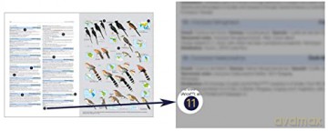 HBW and BirdLife International Illustrated Checklist of the Birds of the World vol.1 - Josep del Hoyo Calduch [KSIĄŻKA]