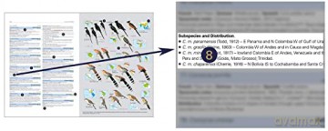 HBW and BirdLife International Illustrated Checklist of the Birds of the World vol.1 - Josep del Hoyo Calduch [KSIĄŻKA]