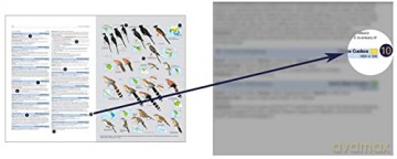 HBW and BirdLife International Illustrated Checklist of the Birds of the World vol.1 - Josep del Hoyo Calduch [KSIĄŻKA]