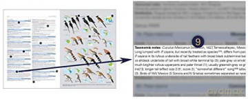 HBW and BirdLife International Illustrated Checklist of the Birds of the World vol.1 - Josep del Hoyo Calduch [KSIĄŻKA]