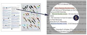 HBW and BirdLife International Illustrated Checklist of the Birds of the World vol.1 - Josep del Hoyo Calduch [KSIĄŻKA]